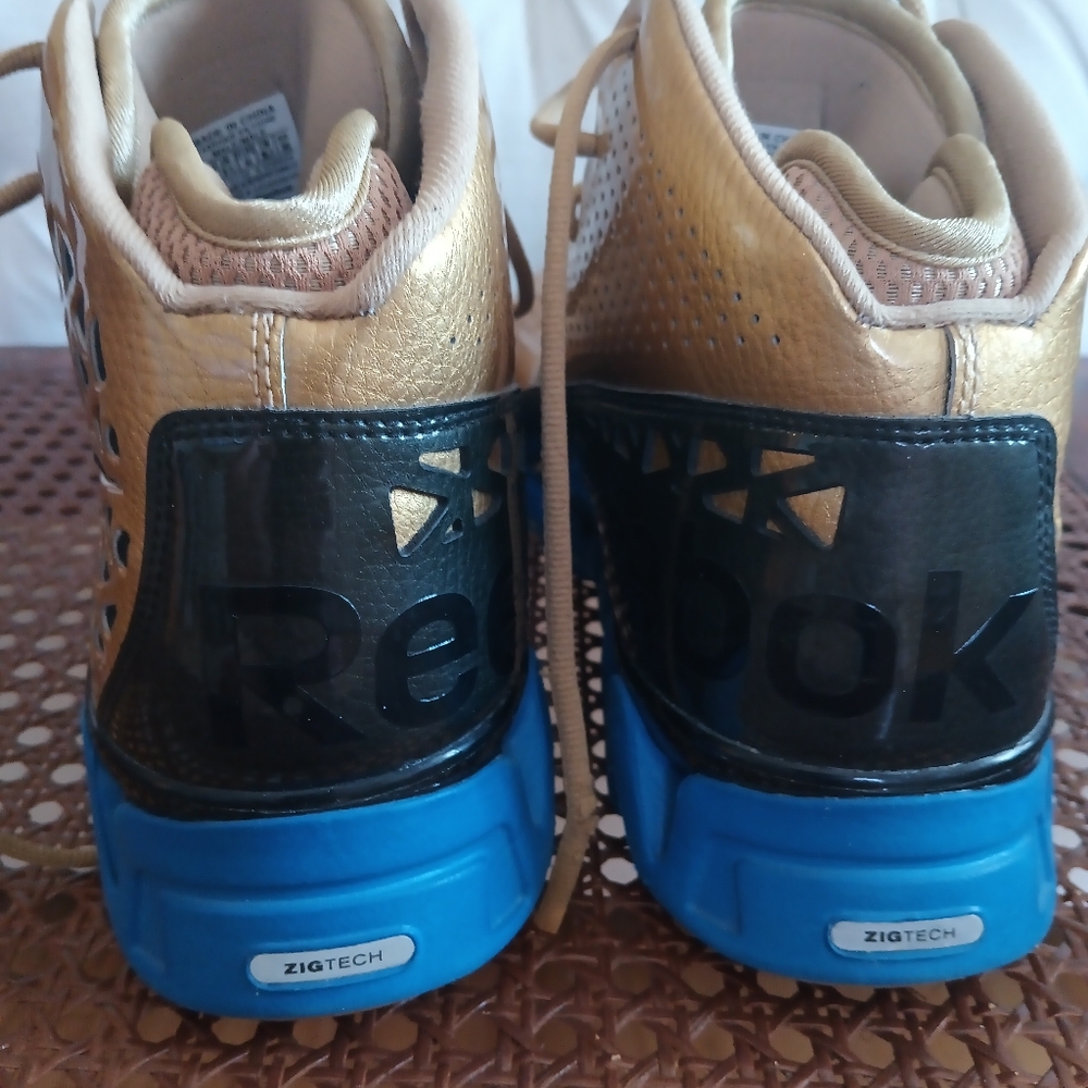 Reebok Zig Tech shoes